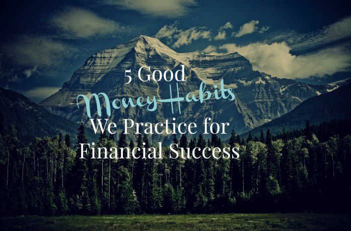 Habits successful financially